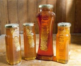Odgers And McClelland Exchange Stores - Find Attractions 1