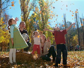 Cotter Avenue Recreation Area - Find Attractions 0
