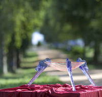 Lillico Glass Studio - Find Attractions