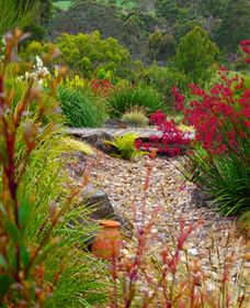 Ungulla Country Garden - Find Attractions 1