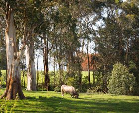 Ungulla Country Garden - Find Attractions 8