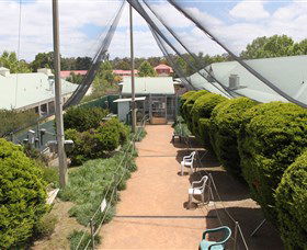 Canberra Walk In Aviary - Find Attractions 2