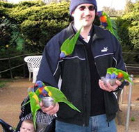 Canberra Walk In Aviary - Find Attractions