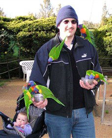 Canberra Walk In Aviary - Find Attractions 0