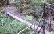 Jenolan River Walking Track - thumb 0