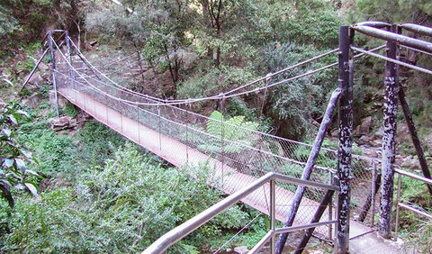 Jenolan River Walking Track - Find Attractions 0