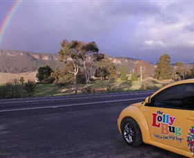 The Lolly Bug - Find Attractions 1