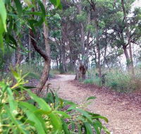 Mount Mutton Walking Trail - Find Attractions