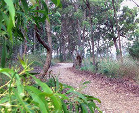 Mount Mutton Walking Trail - Find Attractions 0