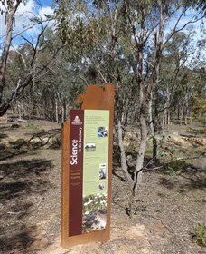 Mulligans Flat - Find Attractions 1
