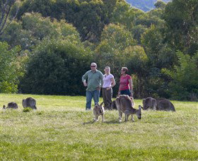 Tidbinbilla - Find Attractions 1