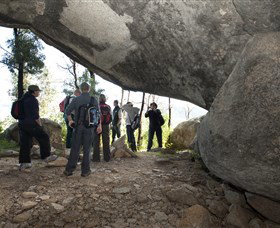Tidbinbilla - Find Attractions 4
