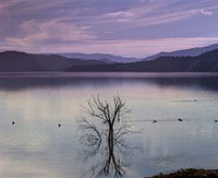 Book Scone Accommodation Vacations Find Attractions Find Attractions