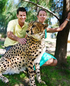 National Zoo & Aquarium - Find Attractions 0