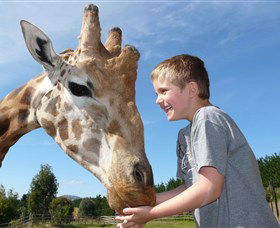 National Zoo & Aquarium - Find Attractions 3