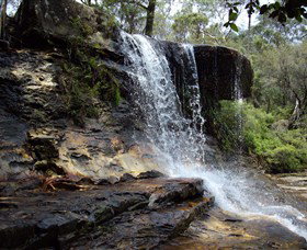 Spirit Safaris - Find Attractions 1