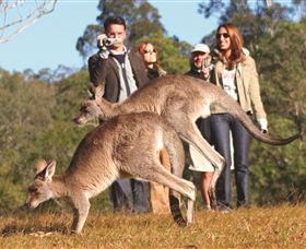 Boutique Tours Australia - Find Attractions 2