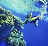 My Mates Tours - Find Attractions