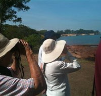 Follow That Bird - Find Attractions