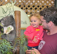 Blue Diamond Tours - Find Attractions