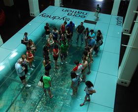 I'm Free Tours - Find Attractions 1