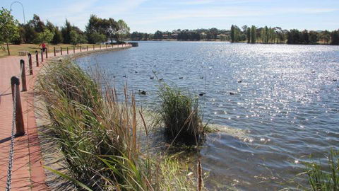 Yerrabi Pond - Find Attractions 1