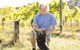 Quealy Winemakers - thumb 2