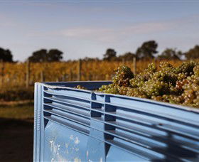Quealy Winemakers - Find Attractions 3