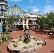 Brookvale NSW Find Attractions