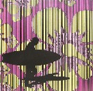 Iain Dawson Gallery - Find Attractions 2