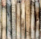 Kerrie Lowe Gallery - Find Attractions