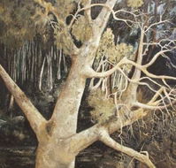 Ku-Ring-Gai Art Centre  Gallery - Find Attractions