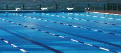 Andrew Boy Charlton Pool - Find Attractions 1