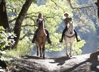 Hunter Valley Horse Riding And Adventures - Find Attractions 1