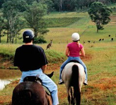 Hunter Valley Horse Riding And Adventures - Find Attractions 3