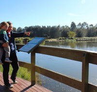 Hunter Wetlands Centre Australia - Find Attractions