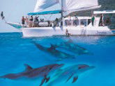 Imagine Cruises - Find Attractions 2