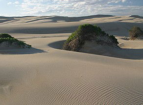 Port Stephens 4WD Tours - Find Attractions 1