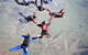 Skydive Maitland - thumb 1