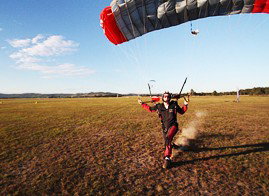 Skydive Maitland - Find Attractions 2