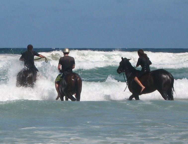 Bangalow NSW Find Attractions