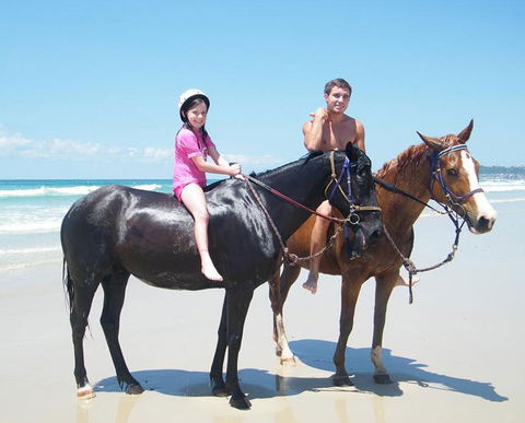 Pegasus Park Equestrian Centre - Find Attractions 1