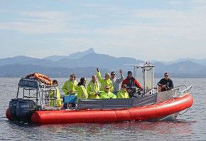 Byron Bay Whale Watching - Find Attractions 2