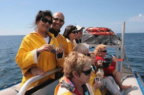 Byron Bay Dolphin Wildlife Tours - Find Attractions 2