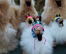 The Latin Store - Find Attractions 1