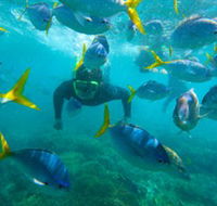 G Adventures - Find Attractions