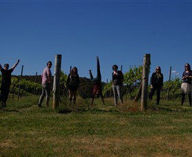 Grape Escape - Find Attractions 3