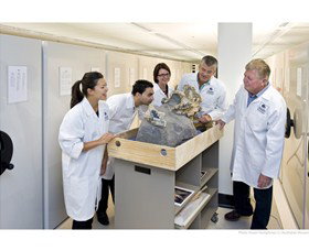 Behind the Scenes Tours at Australian Museum Sydney City