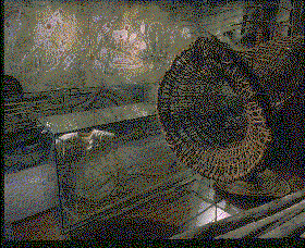 Australian Museum - Find Attractions 3