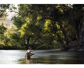 Fly Fishing Tumut - Find Attractions 1